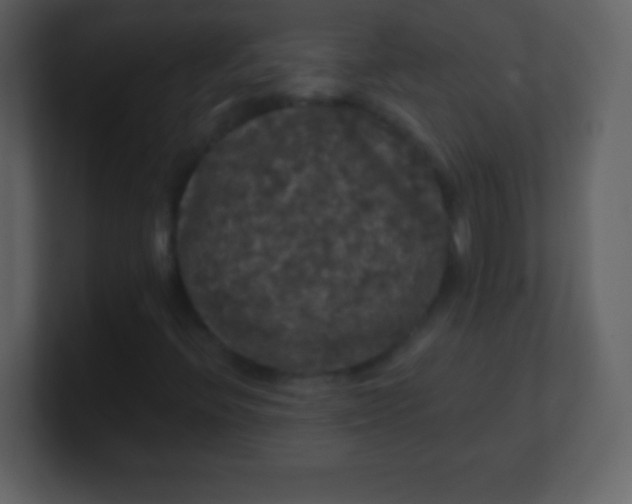 X0000100891396200807081031