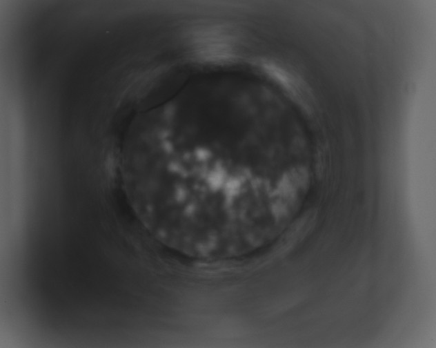 X0000100891397200807081031