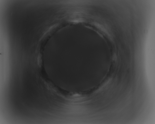 X0000100891398200807081031