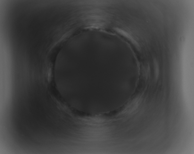 X0000100891399200807081031