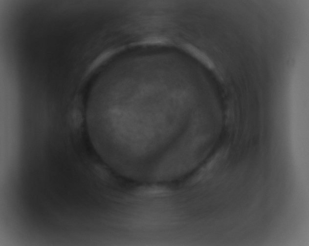 X0000100891400200807081031