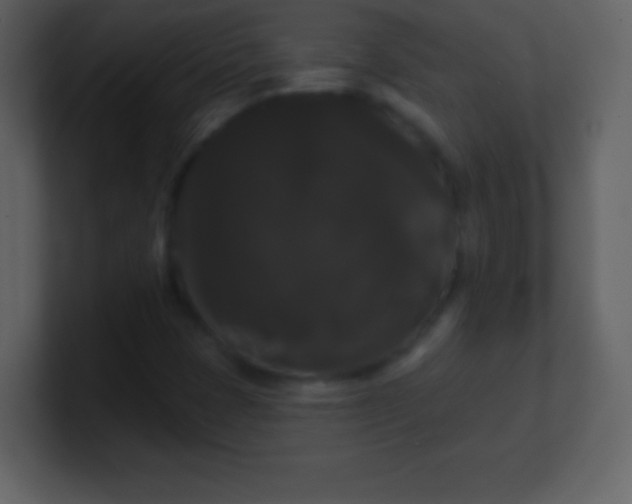 X0000100891401200807081031
