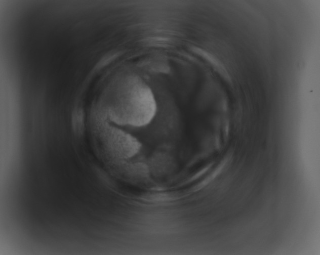 X0000100891402200807081031