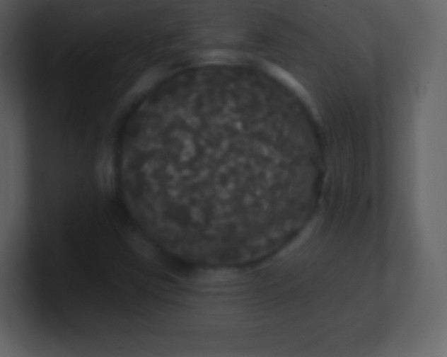 X0000100891403200807081031