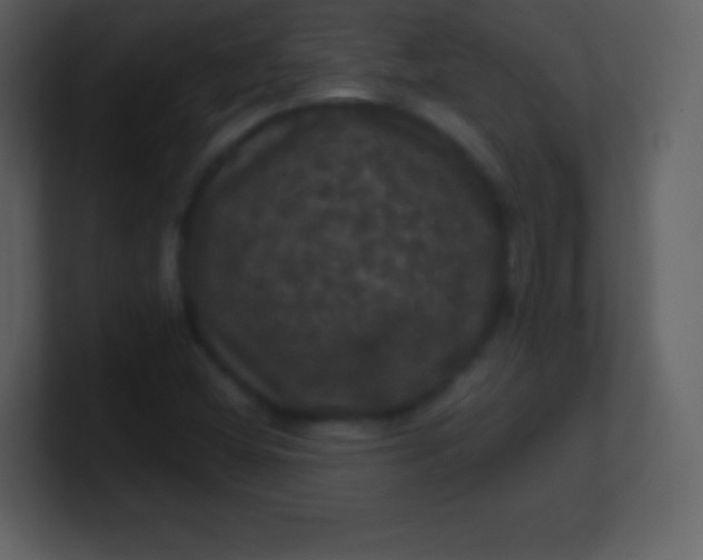 X0000100891404200807081031