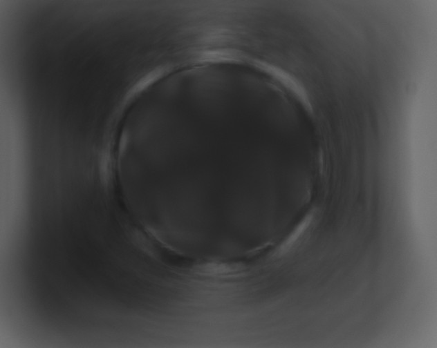 X0000100891405200807081031
