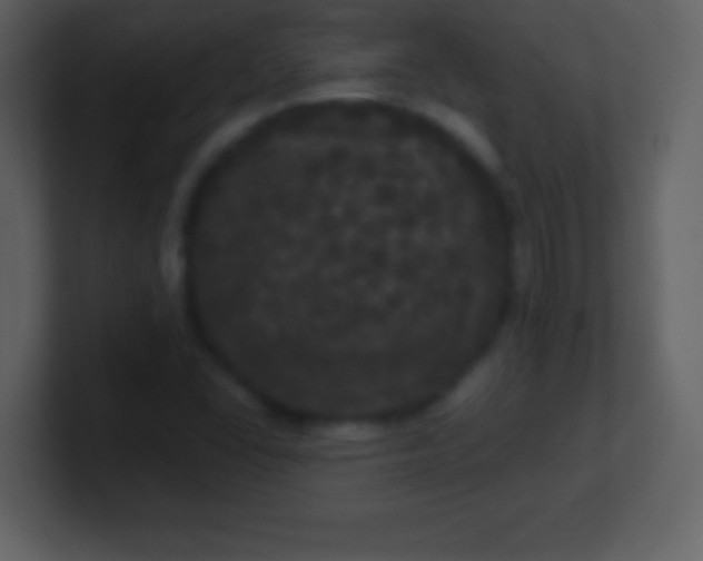 X0000100891406200807081031