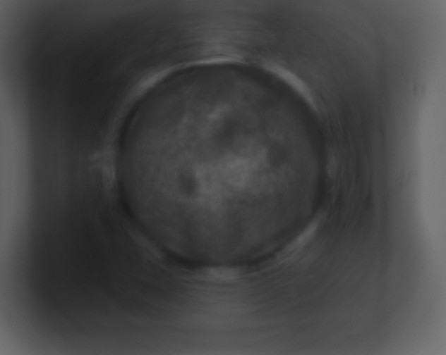 X0000100891407200807081031