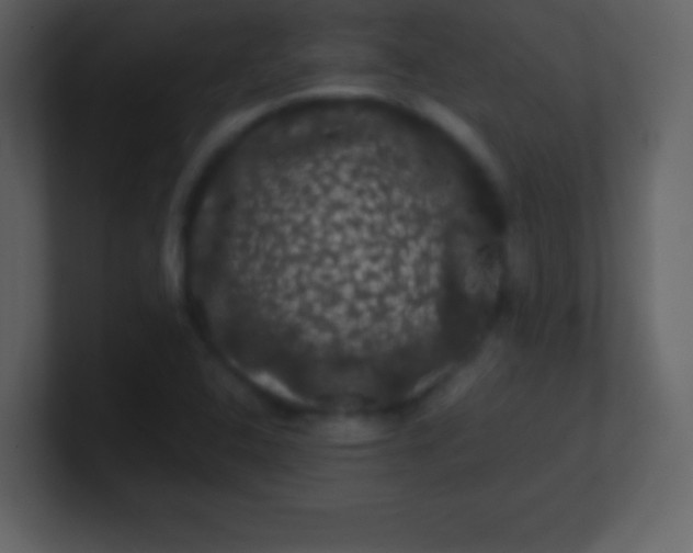 X0000100891408200807081031
