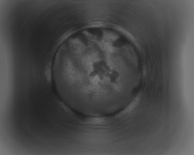 X0000100891409200807081031