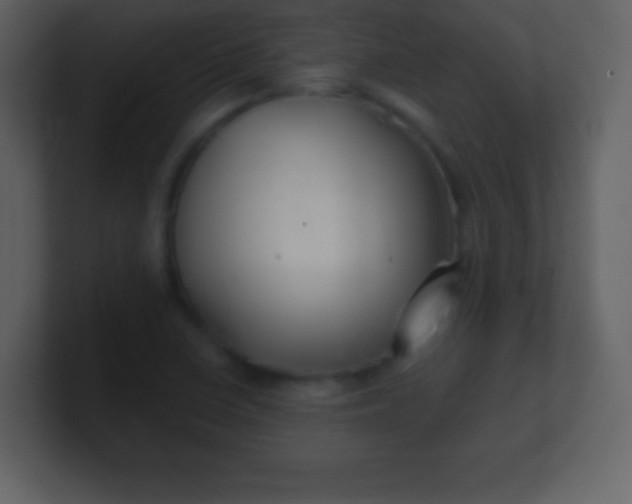 X0000100891410200807081031