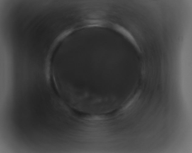 X0000100891411200807081031