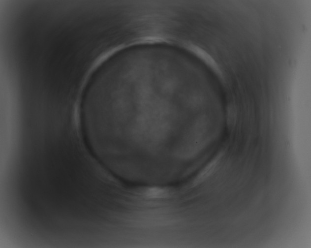 X0000100891412200807081031