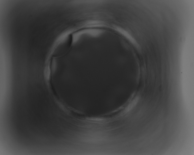 X0000100891413200807081031