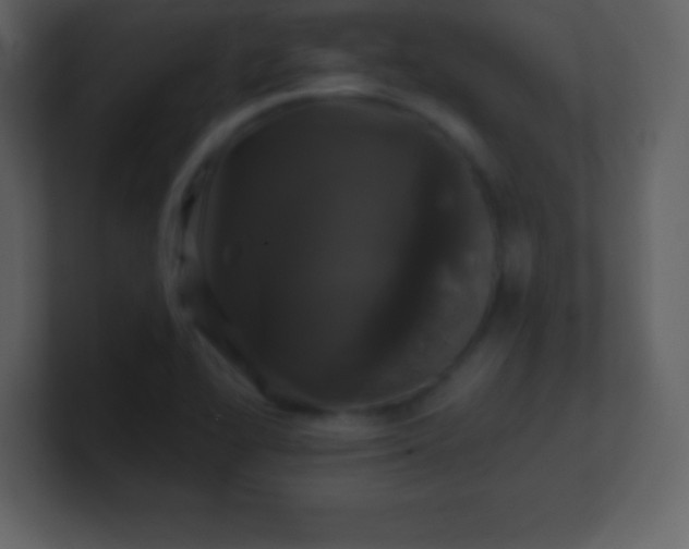 X0000100891414200807081031