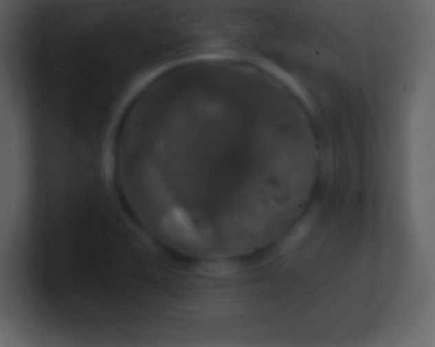X0000100891415200807081031