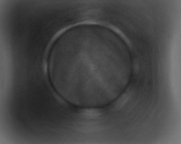 X0000100891416200807081031