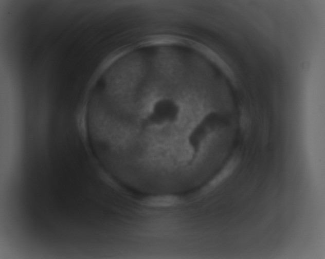 X0000100891417200807081031