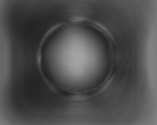 X0000100891418200807081031