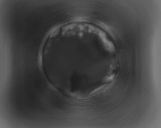 X0000100891419200807081031