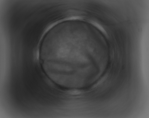 X0000100891420200807081031