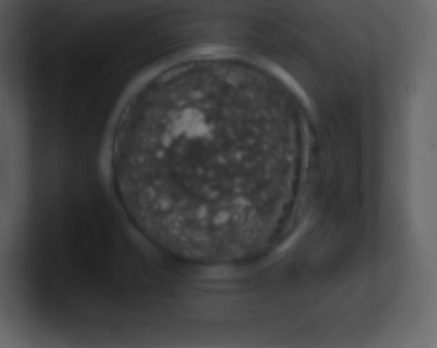 X0000100891421200807081031