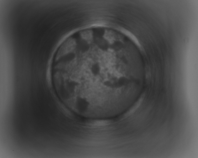 X0000100891423200807081031