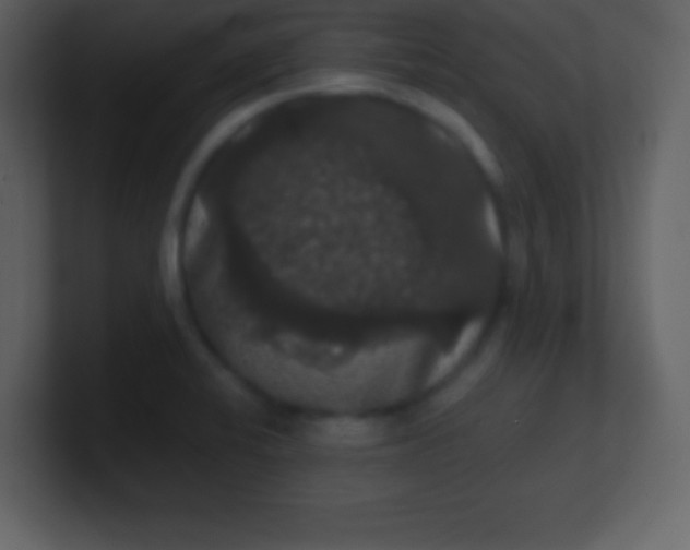 X0000100891424200807081031
