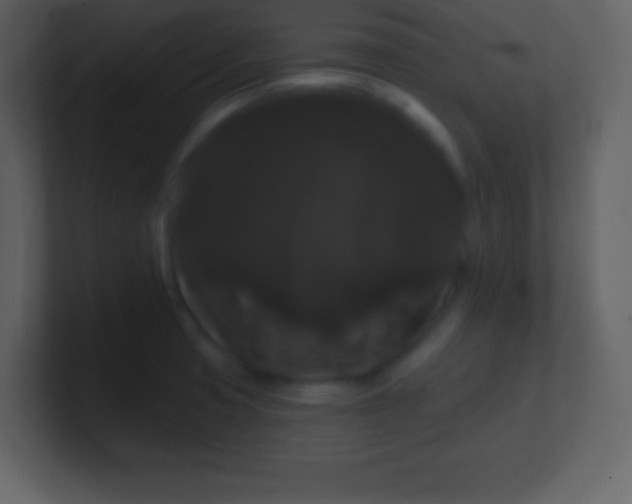 X0000100891425200807081031