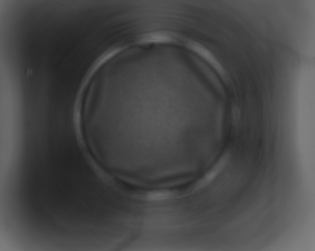 X0000100891426200807081031