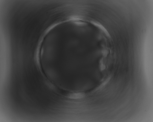 X0000100891427200807081031