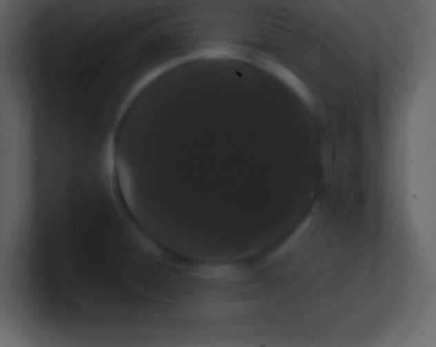 X0000100891428200807081031