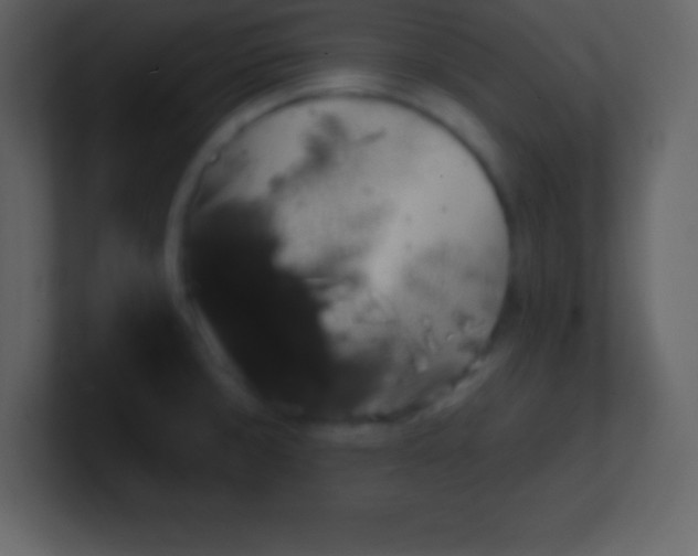 X0000100891429200807081031