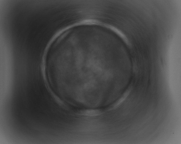 X0000100891430200807081031
