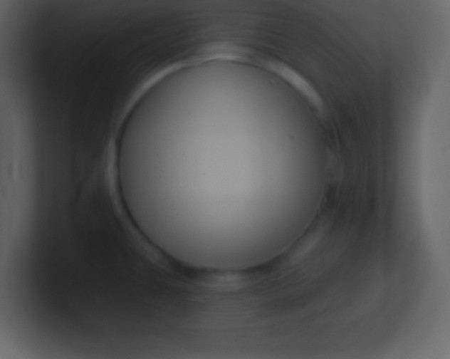X0000100891431200807081031