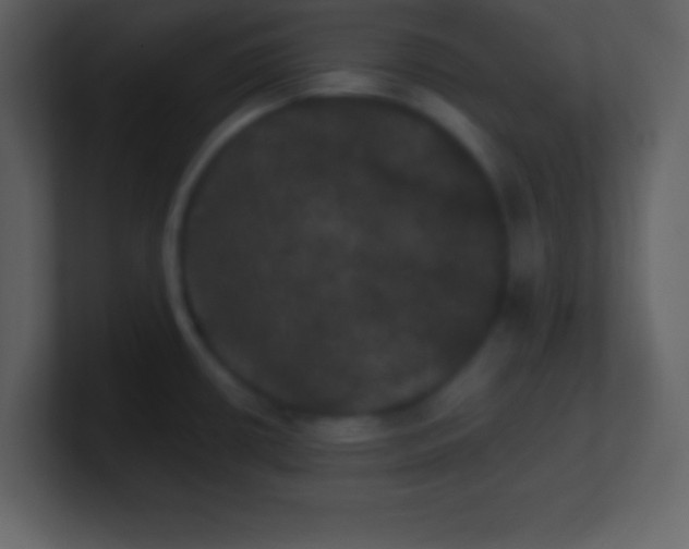 X0000100891434200807081031