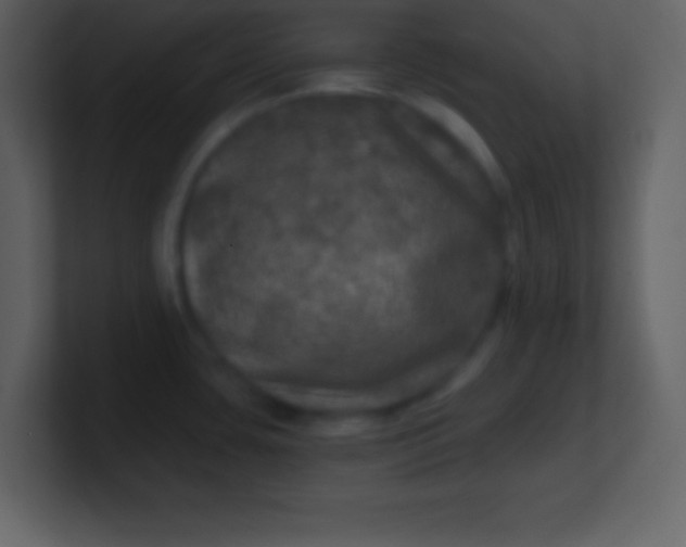 X0000100891435200807081031