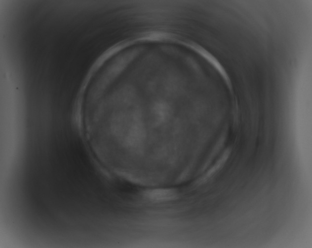 X0000100891437200807081031