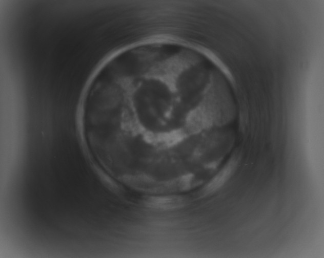 X0000100891438200807081031