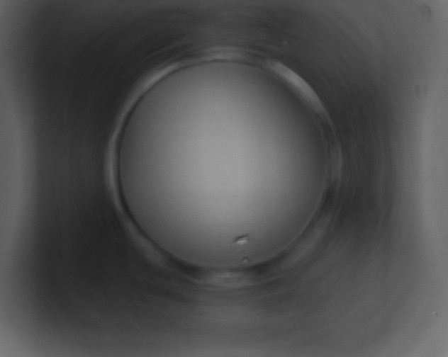 X0000100891439200807081031