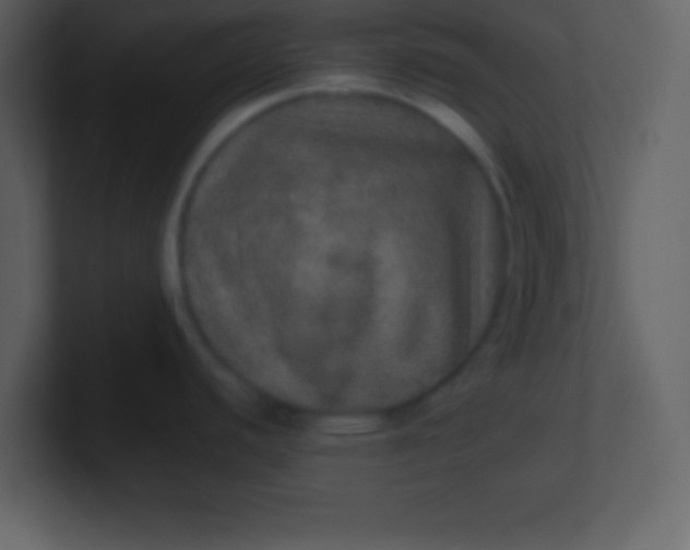 X0000100891440200807081031