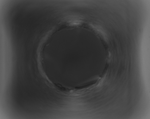 X0000100891441200807081031