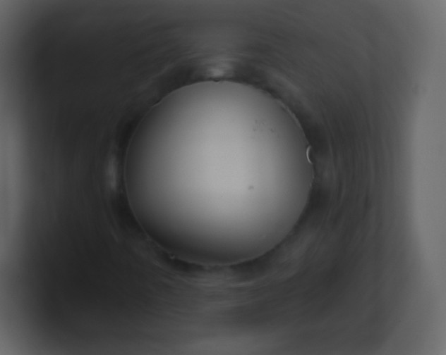 X0000100891442200807081031
