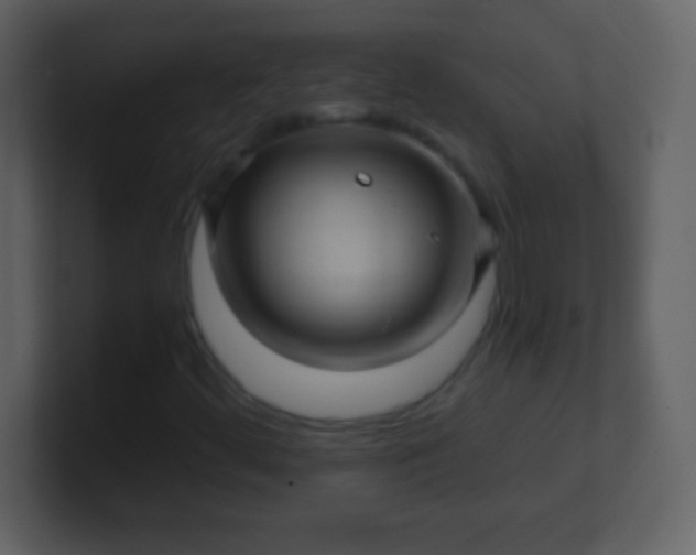X0000100891444200807081031