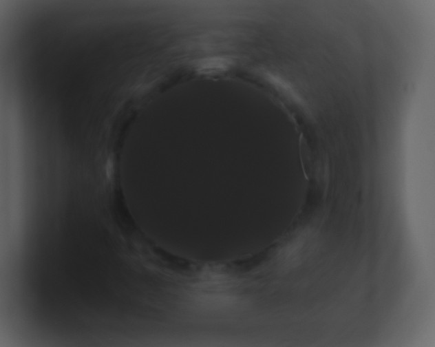 X0000100891445200807081031