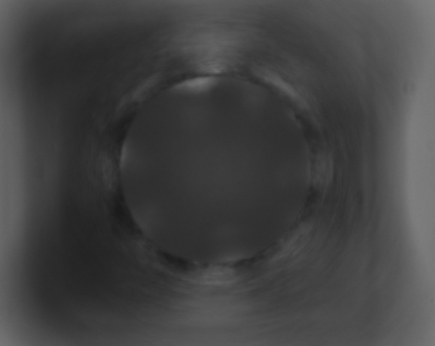 X0000100891446200807081031