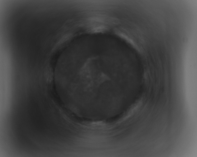 X0000100891447200807081031