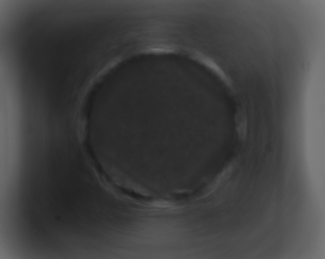 X0000100891448200807081031