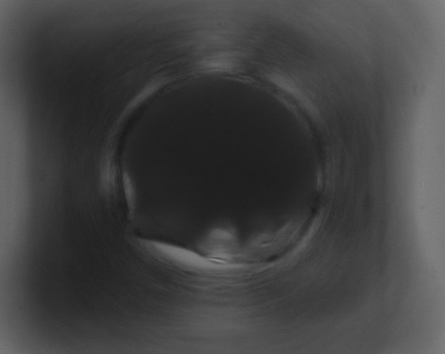 X0000100891450200807081031
