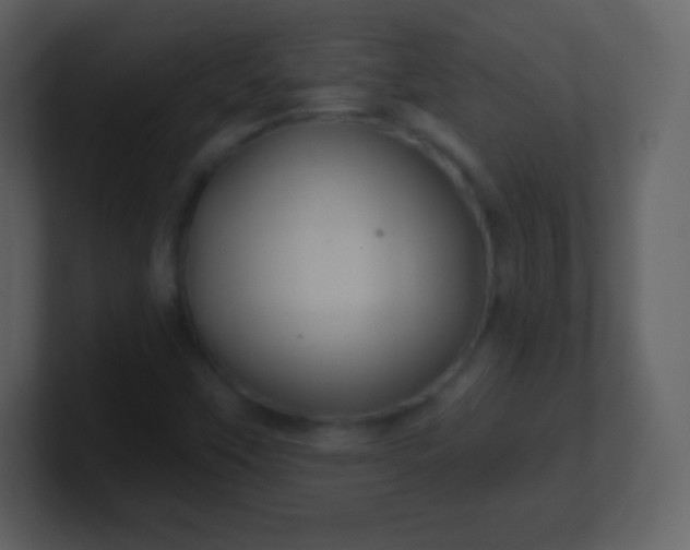 X0000100891451200807081031